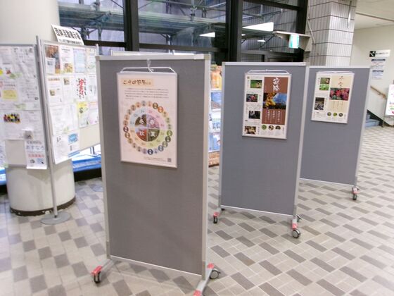 展示の様子の写真です