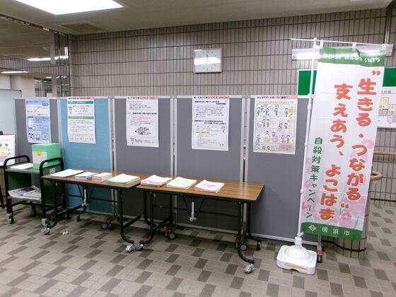 展示の様子の写真です