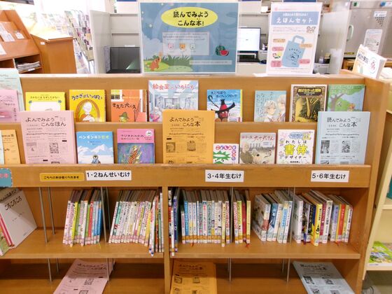 展示の様子の写真です