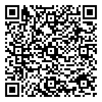 がわちゃん使用報告