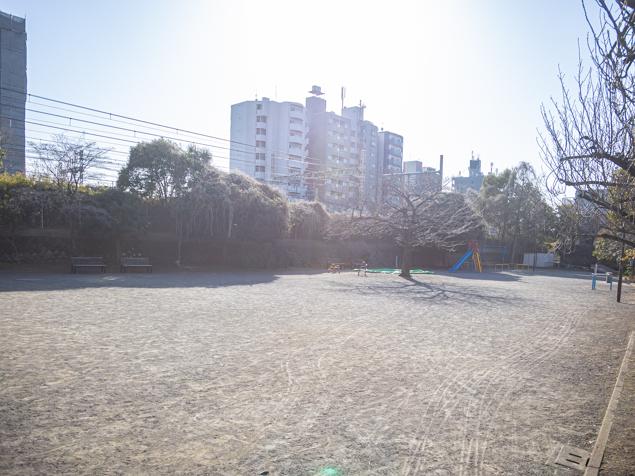 大安寺公園　全景