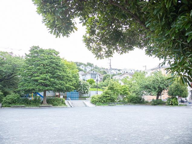 白楽公園　下段広場