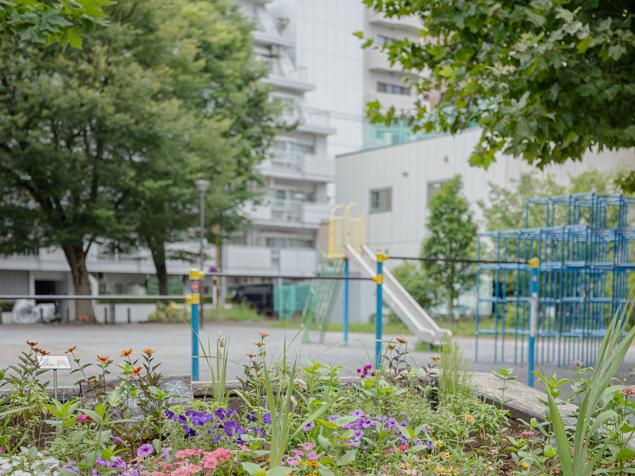 東神奈川公園　花壇