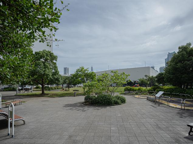 星野町公園　健康遊具広場