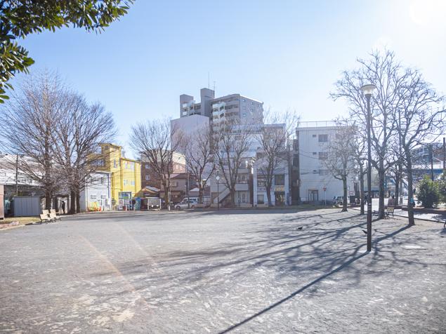 入江川公園　南側広場