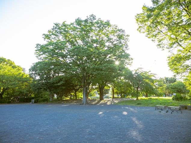 入江町公園　広場
