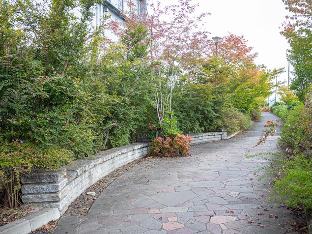 貨物船の森緑道の風景　石畳の歩道
