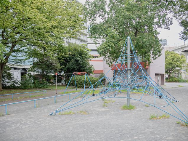 神奈川公園　ザイルクライム