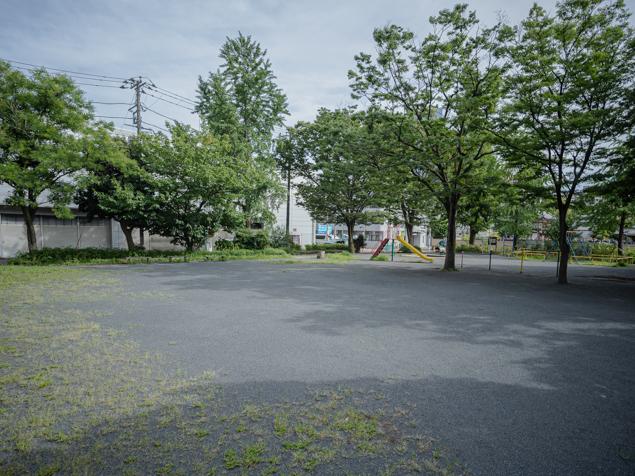 神奈川通公園　全景２