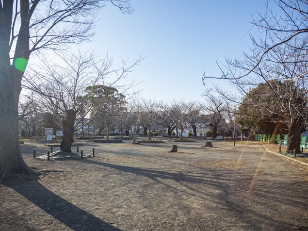 幸ケ谷公園　広場１
