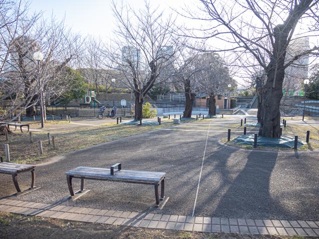 幸ケ谷公園　広場２