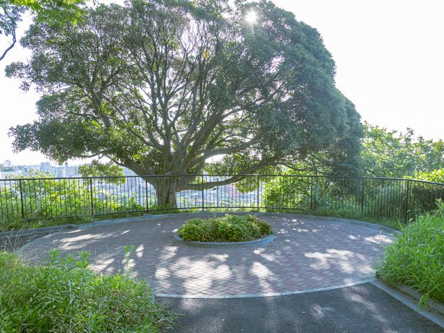 子安台公園　円形広場
