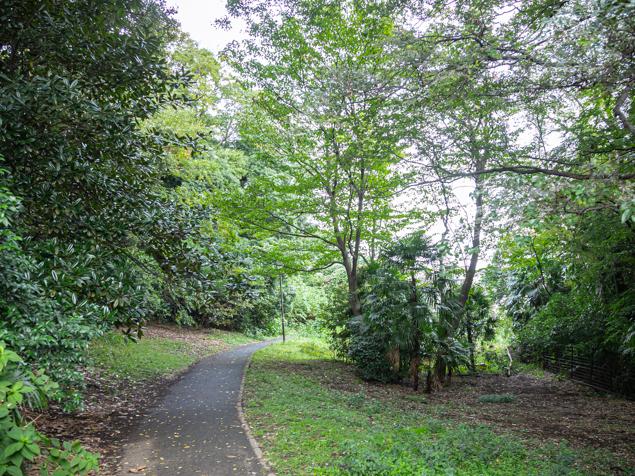 松見みはらし公園　園路