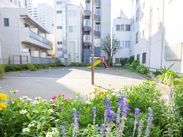 南二ツ谷公園　花壇