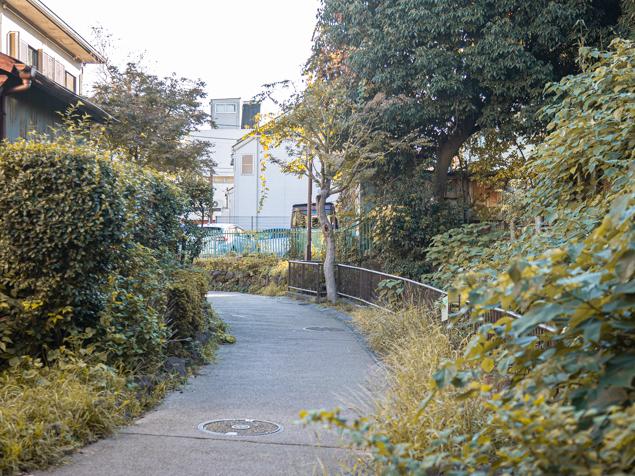 三ツ沢南町公園　緑地