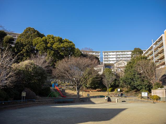 三ツ沢下町公園　全景