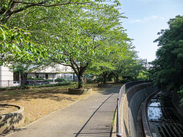 三枚町第三公園　鳥山川の流れ