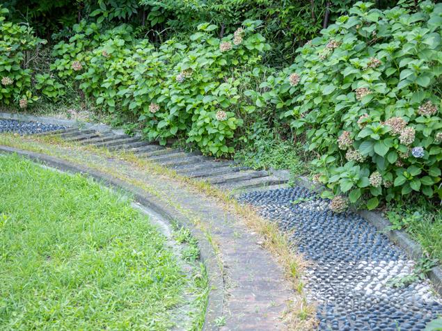 沢渡公園　アジサイと砂利敷きの園路