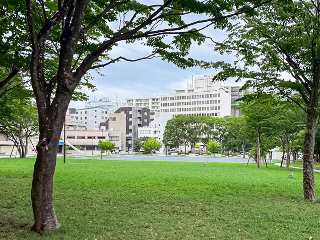 沢渡中央公園　芝生