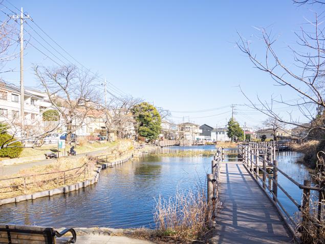 白幡池公園　桟橋