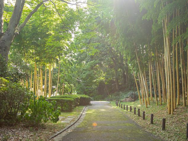 菅田いでど公園　園路