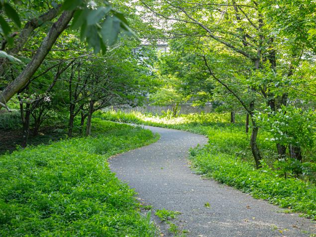 菅田みどりの丘公園　園路
