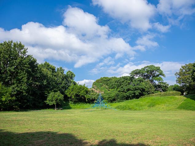 菅田みどりの丘公園　芝生広場と園路