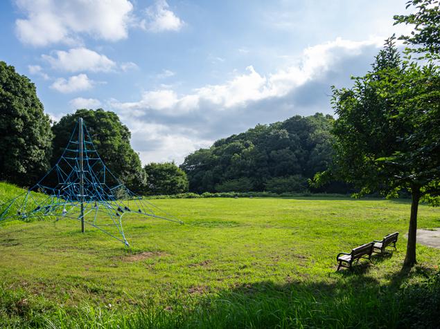 菅田みどりの丘公園　芝生広場