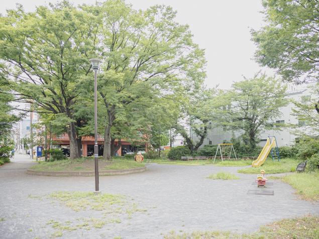 滝ノ川公園　全景