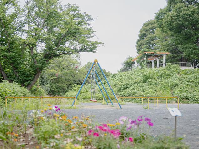 立町みはらし公園　花のある風景