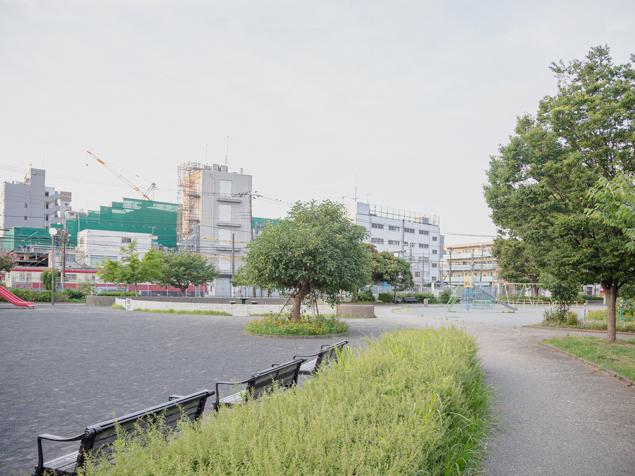 浦島公園　園路