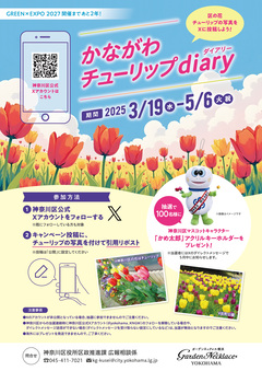 キャンペーンチラシ画像