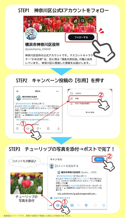 投稿手順の図解
