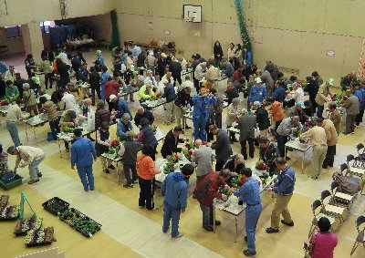 All participants challenged to make various potted flowers.