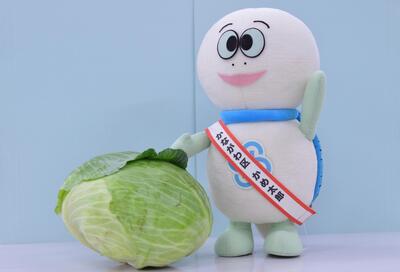 かめ太郎とキャベツの写真