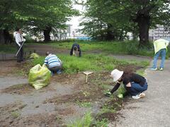 草むしりの様子