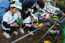 花を植える子どもたちの写真