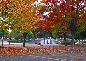 秋色の反町公園