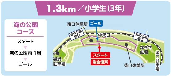 1.3キロコース図