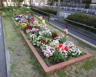 愛護会活動の様子その２