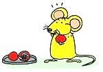 chuột ăn đồ ăn