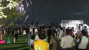 Launched fireworks and spectators