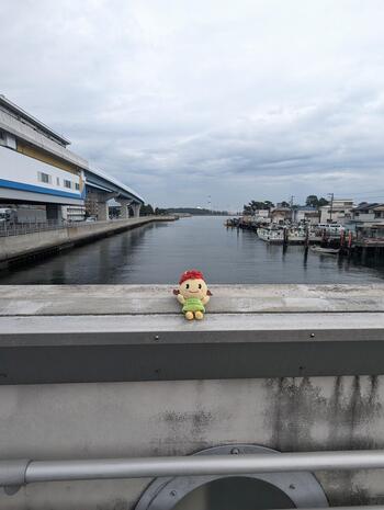 Botan-chan on the bridge