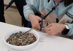 ワークショップ