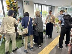 区役所配布の様子