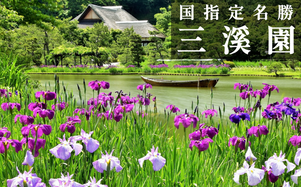 夏の三溪園