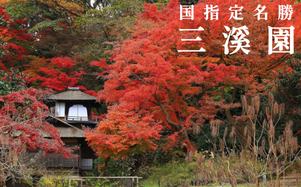 秋の三溪園