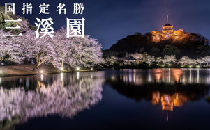 桜ライトアップ時の三溪園