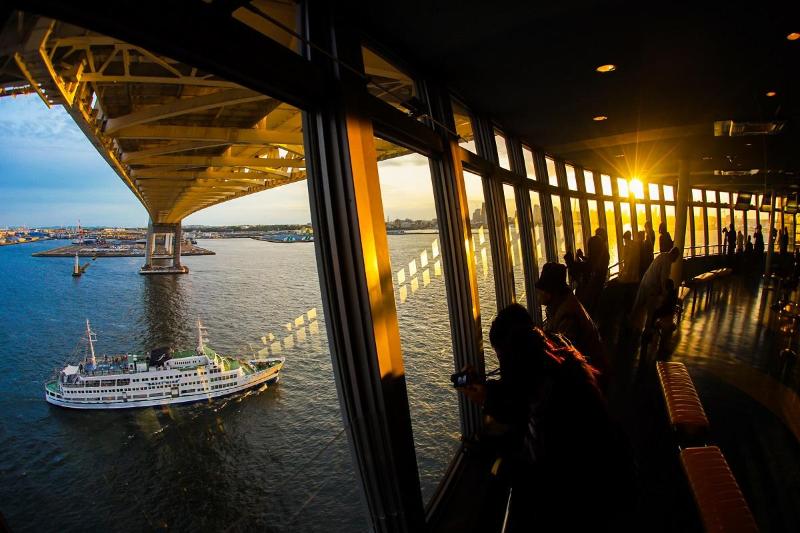 夕暮れの光に照らされて