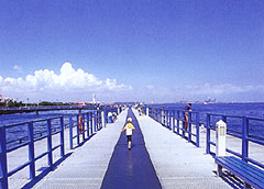 本牧海づり施設写真